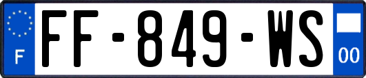 FF-849-WS