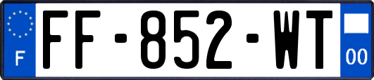 FF-852-WT