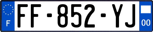 FF-852-YJ