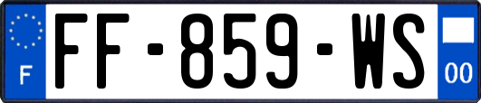 FF-859-WS