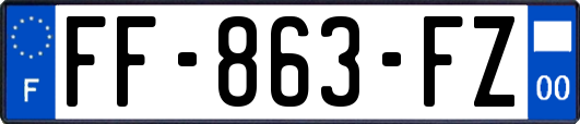FF-863-FZ
