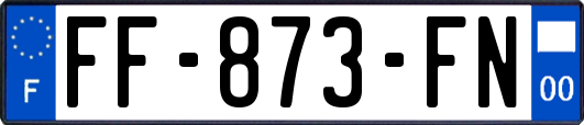FF-873-FN
