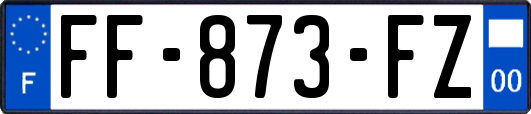 FF-873-FZ
