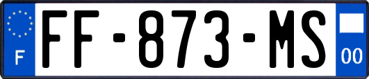 FF-873-MS