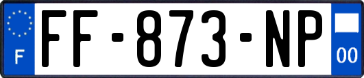 FF-873-NP