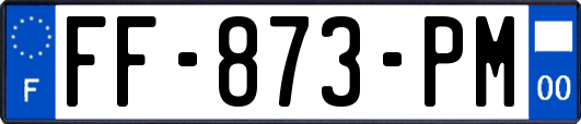 FF-873-PM
