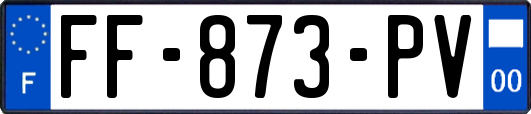 FF-873-PV