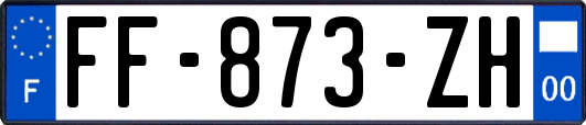 FF-873-ZH