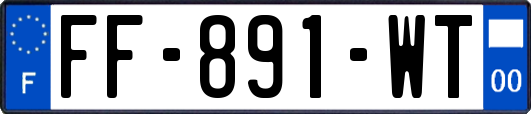 FF-891-WT