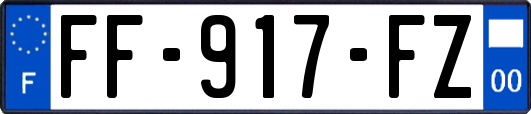FF-917-FZ
