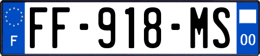 FF-918-MS