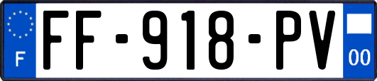 FF-918-PV