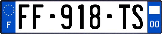 FF-918-TS