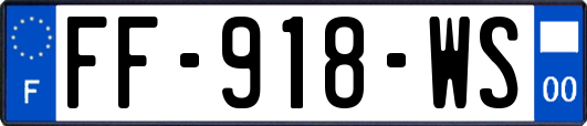 FF-918-WS