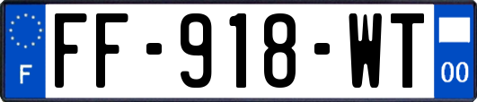 FF-918-WT