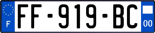 FF-919-BC