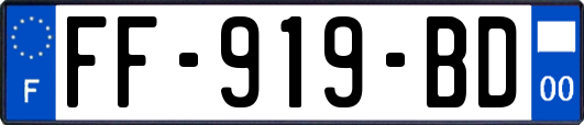 FF-919-BD