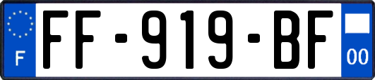 FF-919-BF