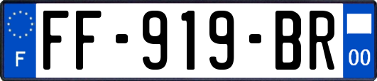 FF-919-BR