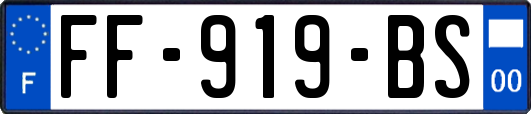 FF-919-BS