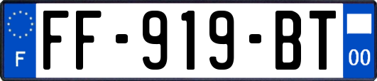 FF-919-BT