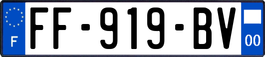 FF-919-BV