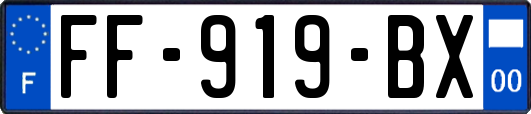 FF-919-BX