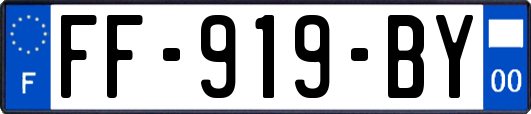 FF-919-BY