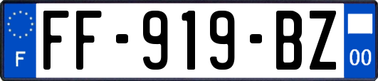 FF-919-BZ
