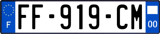 FF-919-CM