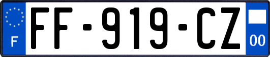 FF-919-CZ