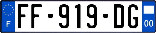 FF-919-DG