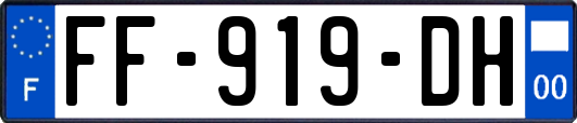 FF-919-DH