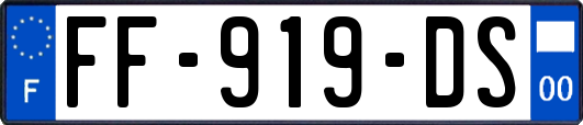 FF-919-DS