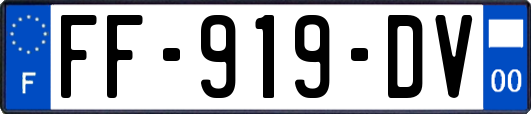 FF-919-DV