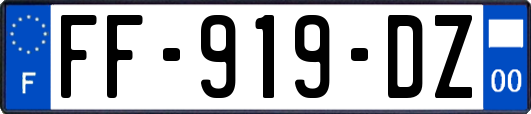 FF-919-DZ