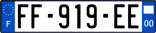 FF-919-EE