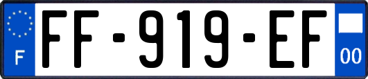 FF-919-EF