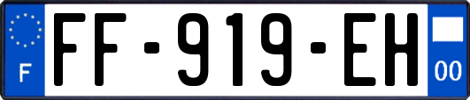 FF-919-EH