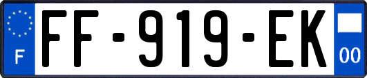 FF-919-EK