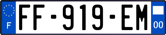 FF-919-EM