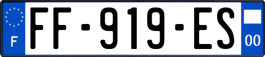 FF-919-ES