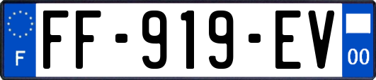FF-919-EV
