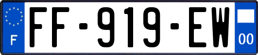 FF-919-EW