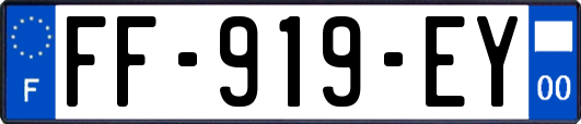 FF-919-EY