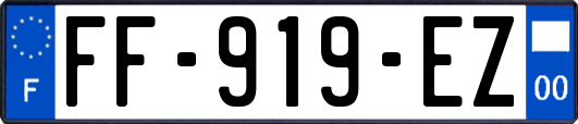 FF-919-EZ