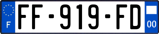 FF-919-FD