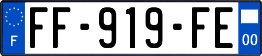 FF-919-FE