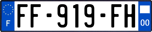 FF-919-FH