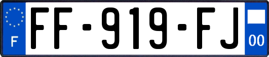 FF-919-FJ